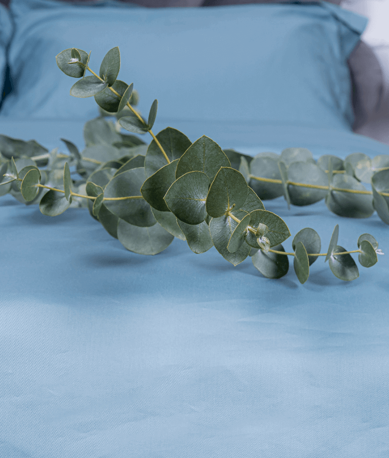 Eucalyptus-Bedding